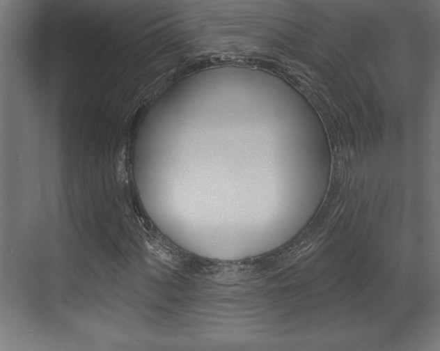 X0000072921060200607210900