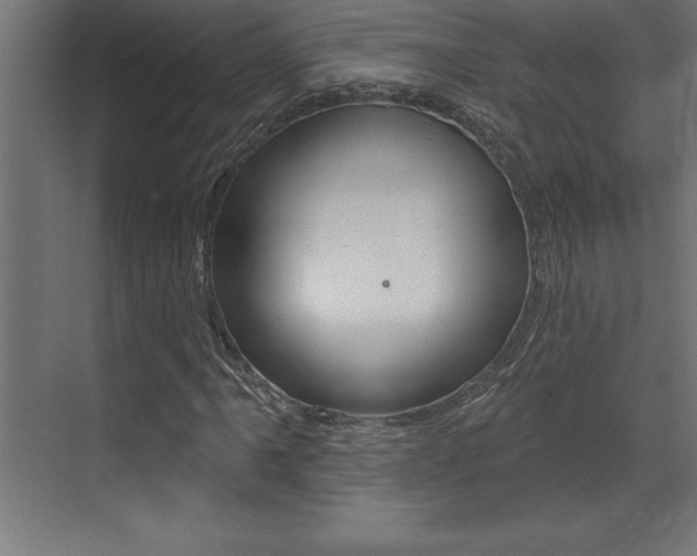 X0000072921061200607210900