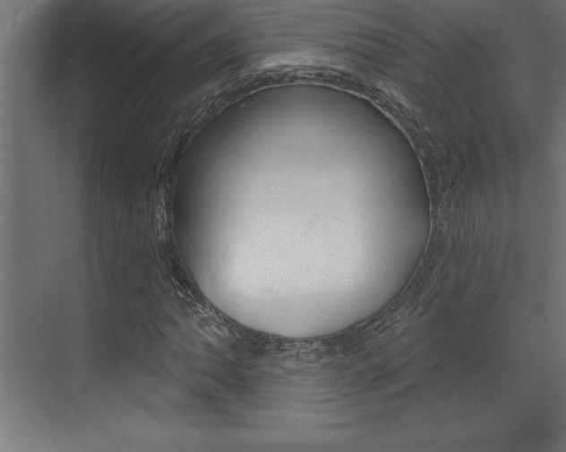 X0000072921062200607210900