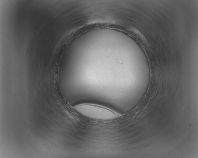 X0000072921064200607210900