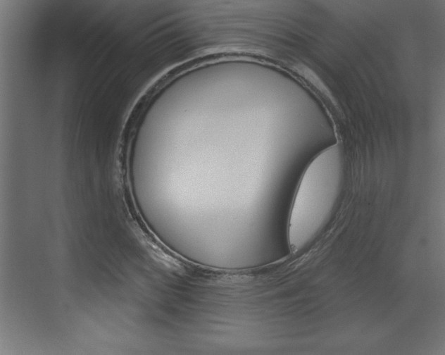 X0000072921068200607210900