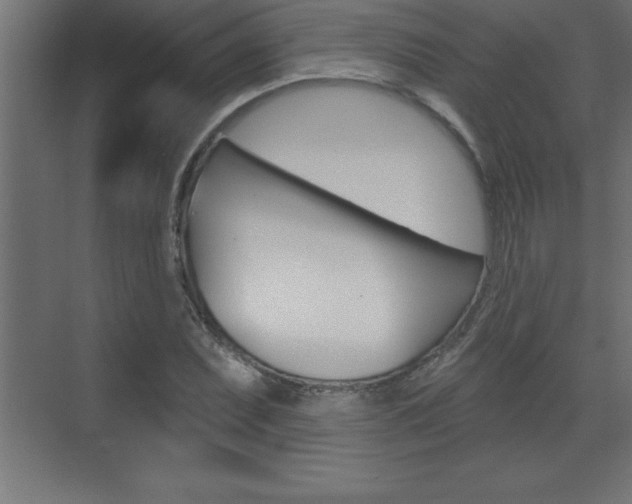 X0000072921071200607210900