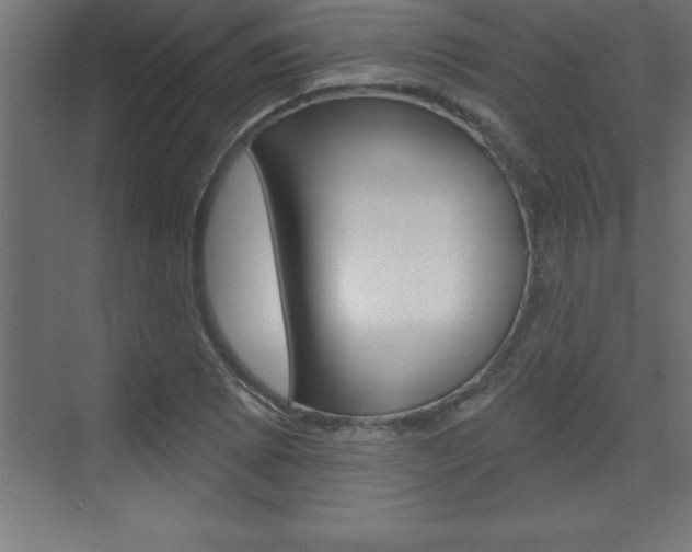 X0000072921073200607210900