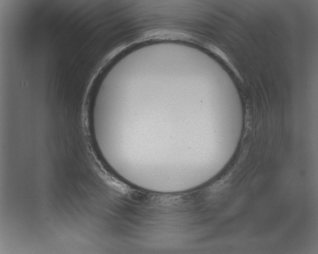 X0000072921074200607210900