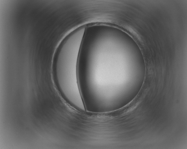 X0000072921077200607210900