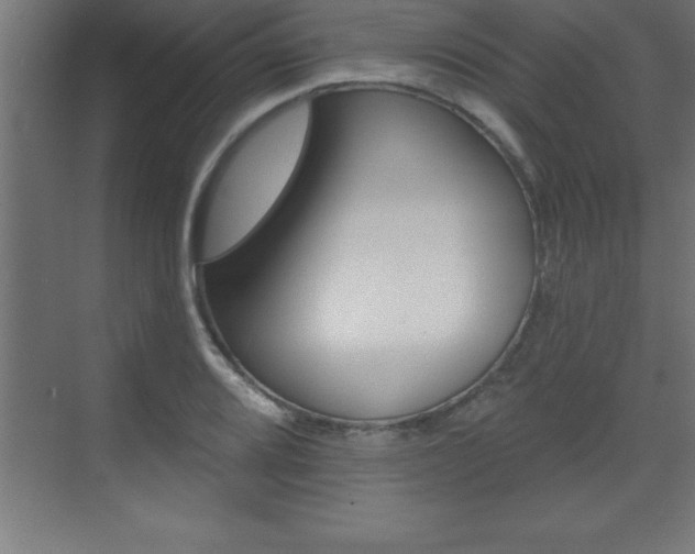 X0000072921080200607210900