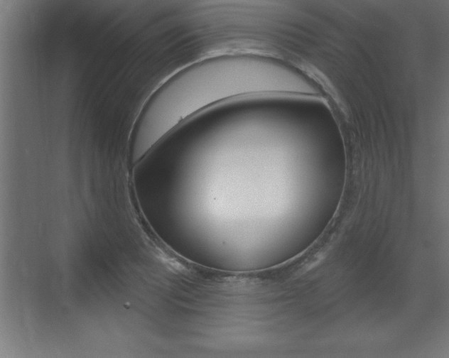 X0000072921081200607210900