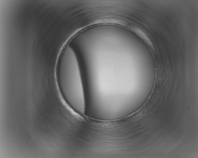 X0000072921084200607210900