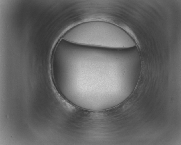 X0000072921088200607210900