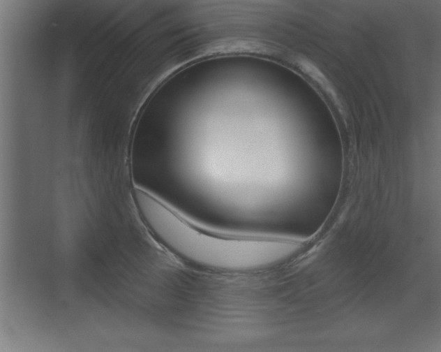 X0000072921089200607210900