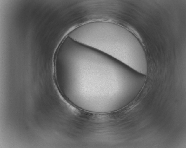 X0000072921095200607210900