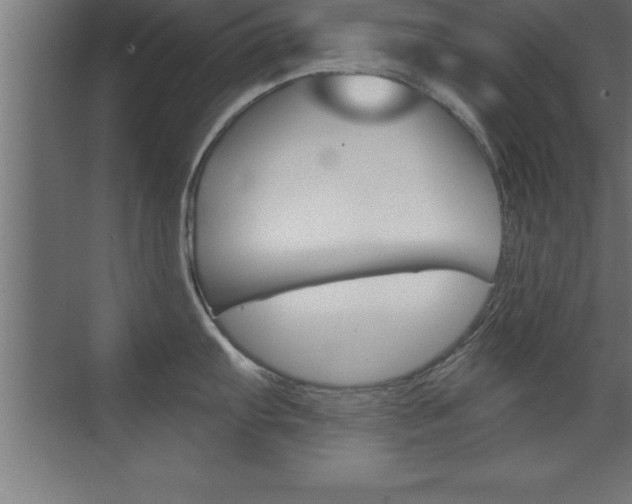 X0000072921103200607210900