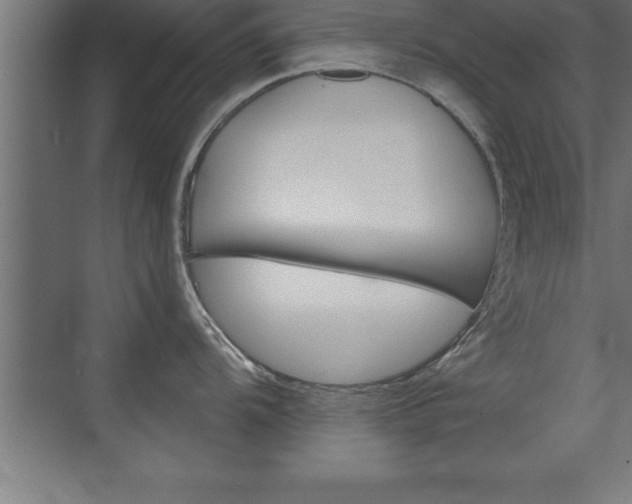 X0000072921104200607210900