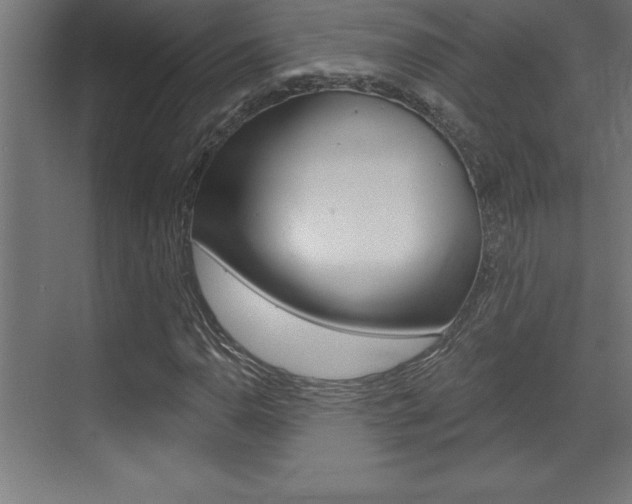 X0000072921110200607210859