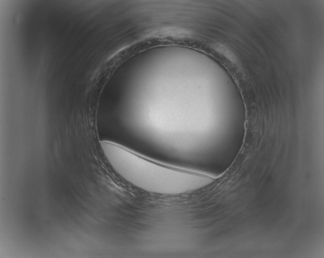 X0000072921112200607210859