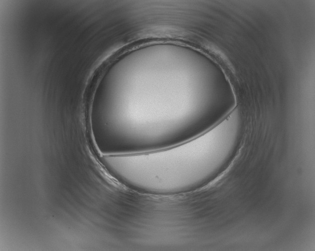 X0000072921114200607210859
