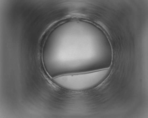 X0000072921115200607210859