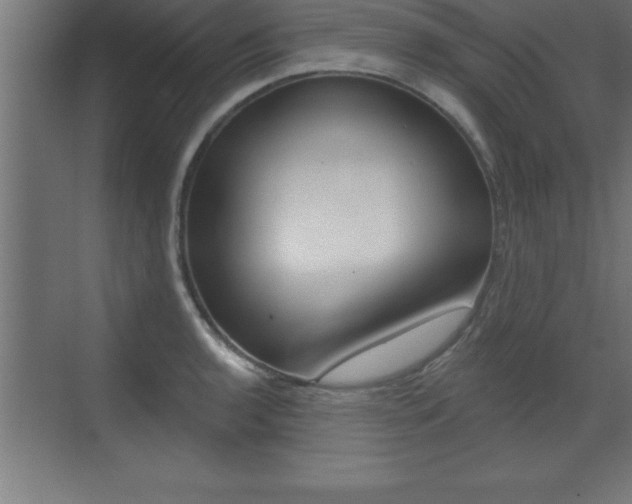 X0000072921136200607210859