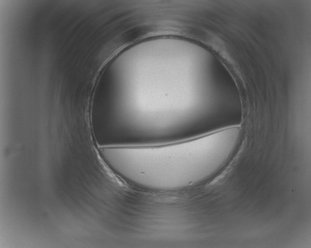 X0000072921137200607210859