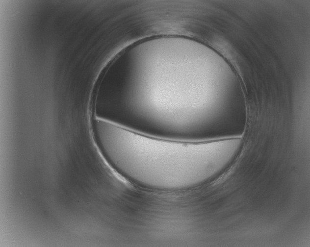 X0000072921141200607210859