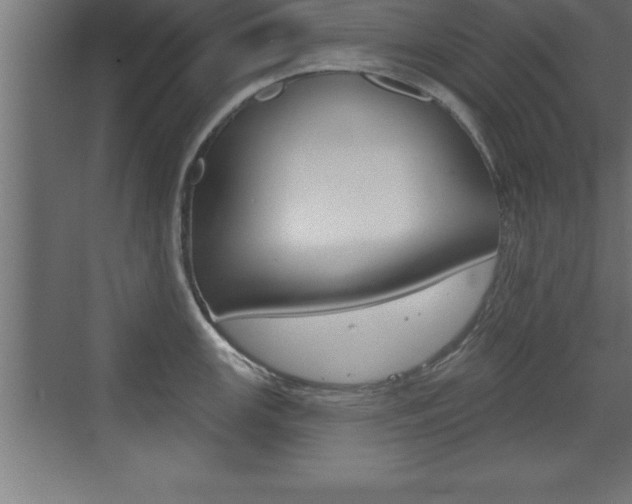 X0000072921147200607210859