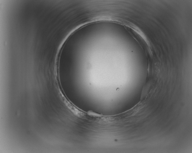 X0000072921148200607210859