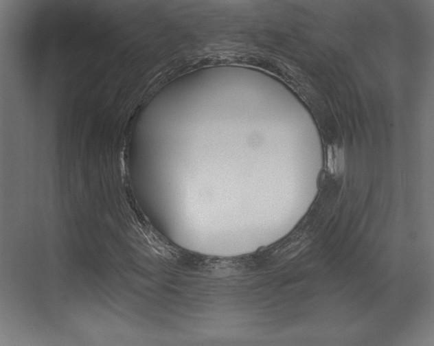 X0000072921155200607210859