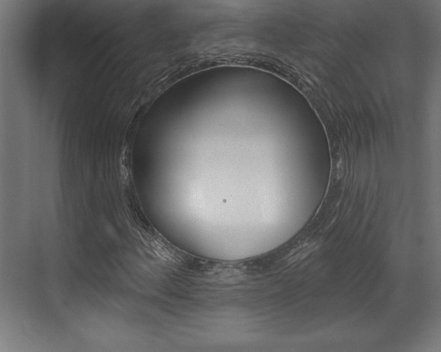 X0000072921156200607210859