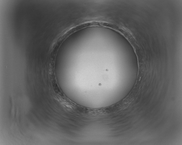 X0000072921159200607210859