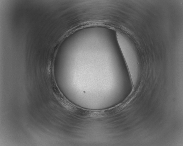 X0000072921161200607210859