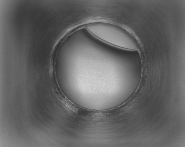 X0000072921167200607210859