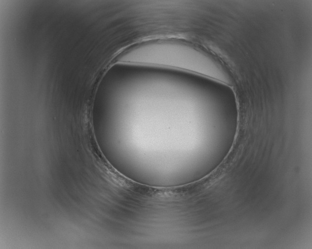X0000072921169200607210858
