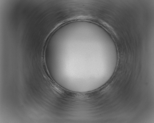 X0000072921170200607210858