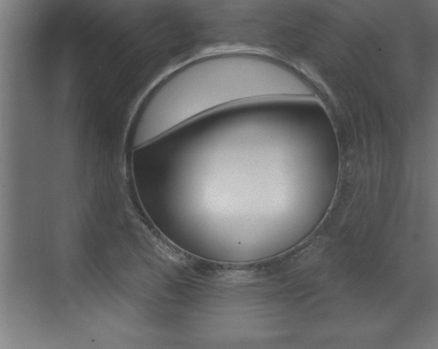 X0000072921173200607210858