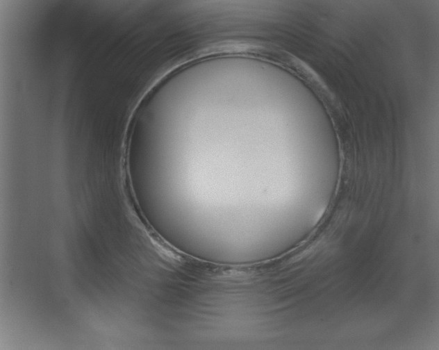 X0000072921178200607210858