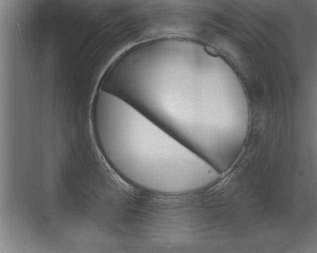 X0000072921182200607210858