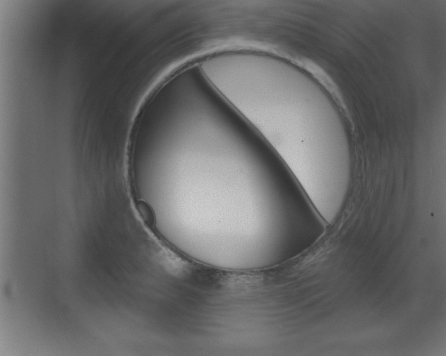 X0000072921183200607210858