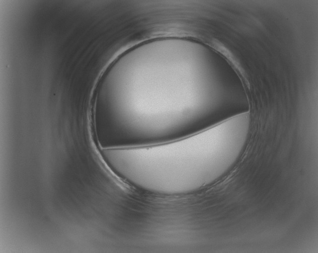 X0000072921187200607210858