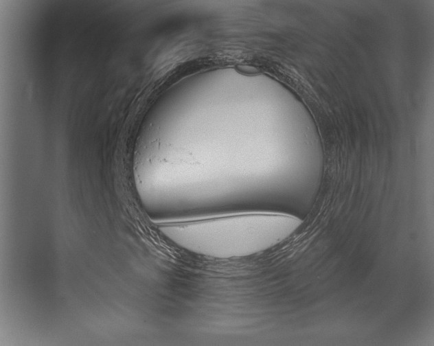 X0000072921201200607210857