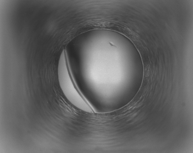 X0000072921202200607210857