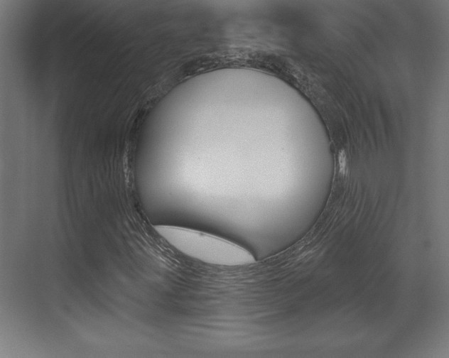 X0000072921203200607210857