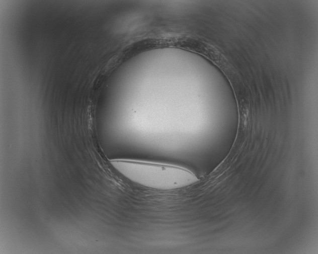 X0000072921204200607210857