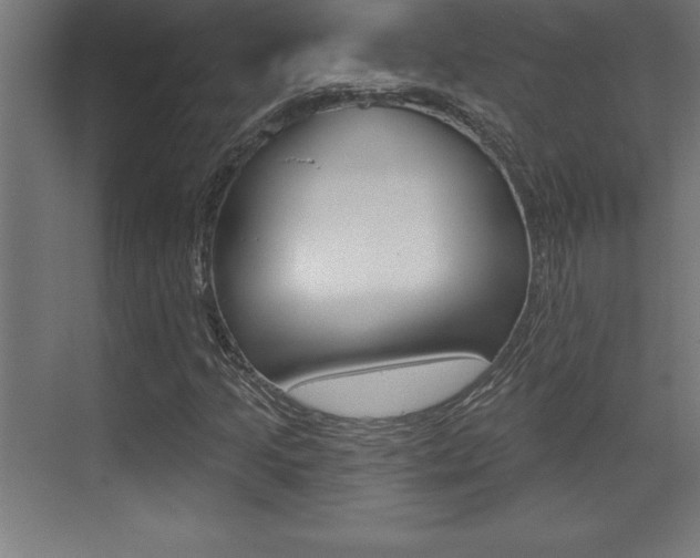 X0000072921205200607210857
