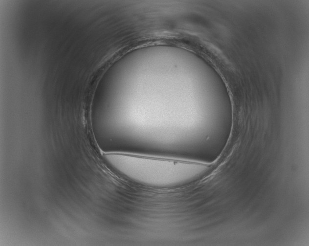 X0000072921209200607210857