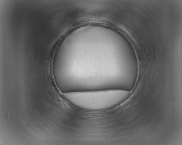 X0000072921211200607210857