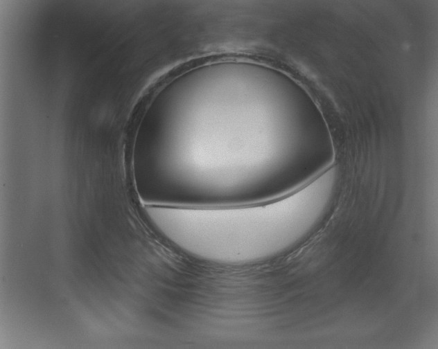 X0000072921214200607210857