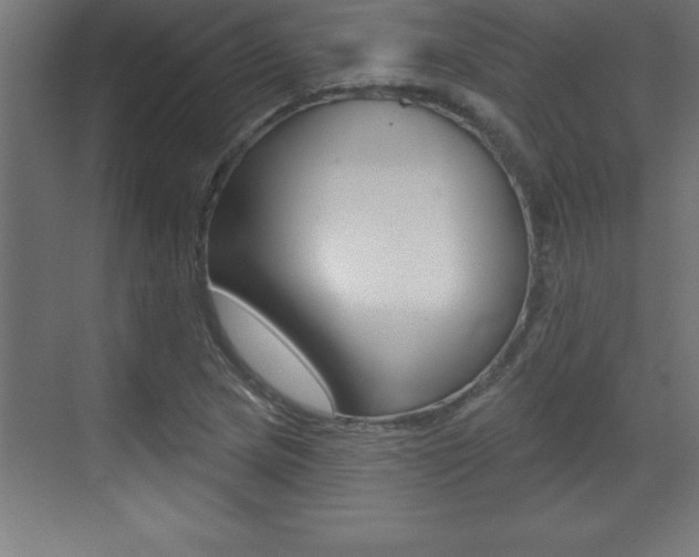 X0000072921217200607210857