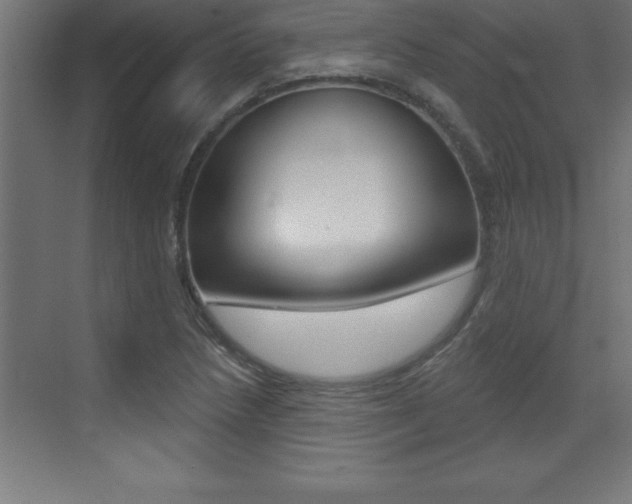 X0000072921218200607210857