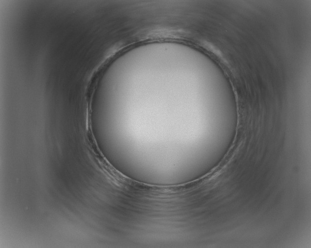 X0000072921219200607210857