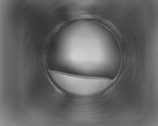 X0000072921225200607210858